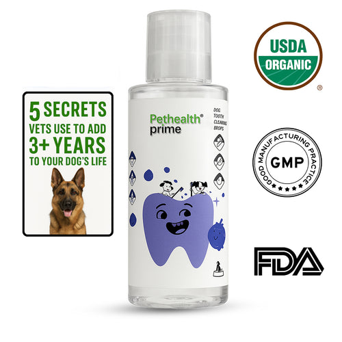 Protect Your Dog’s Teeth with Pethealth Prime – Save on Costly Vet Bills and Extend Their Life with Simple Oral Care. Order Now!