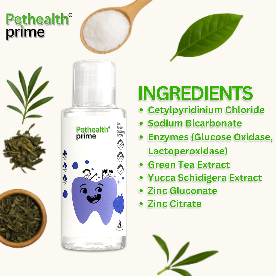 Protect Your Dog’s Teeth with Pethealth Prime – Save on Costly Vet Bills and Extend Their Life with Simple Oral Care. Order Now!