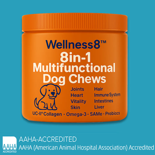 Wellness8™ 8-in-1 Multifunctional Dog Chews | Vet-Backed Clinical Formula