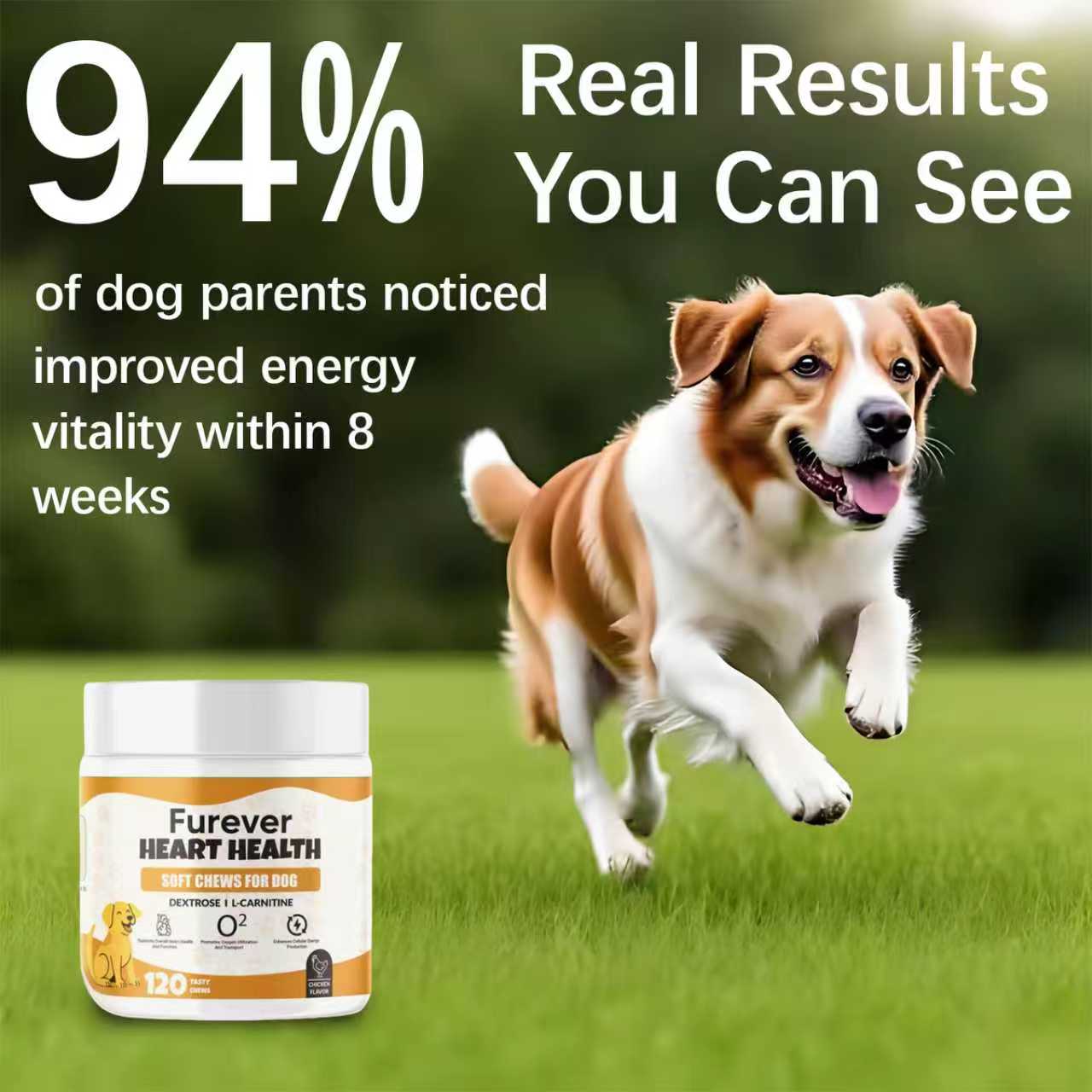 Furever Heart HealthSoft chews-Protect Your Dog’s Heart, Extend Their Joyful Years