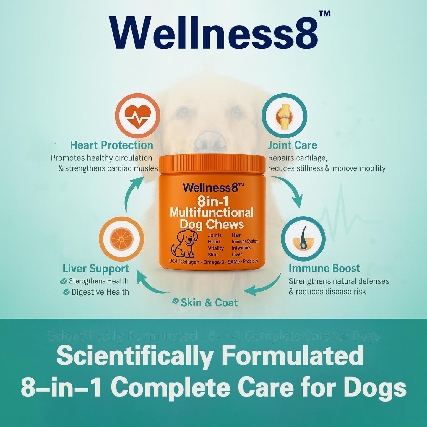 Wellness8™ 8-in-1 Multifunctional Dog Chews | Vet-Backed Clinical Formula