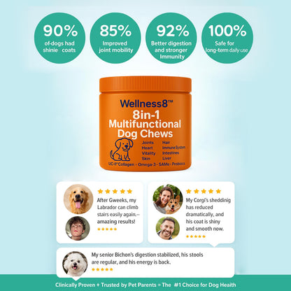 Wellness8™ 8-in-1 Multifunctional Dog Chews | Vet-Backed Clinical Formula