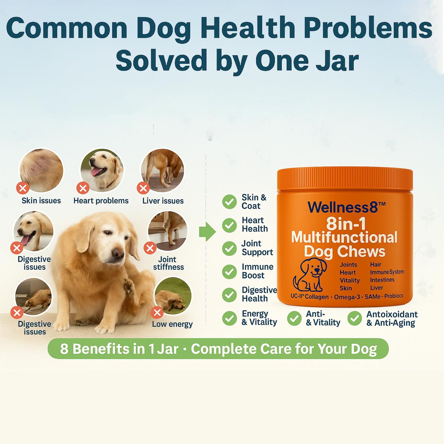 Wellness8™ 8-in-1 Multifunctional Dog Chews | Vet-Backed Clinical Formula
