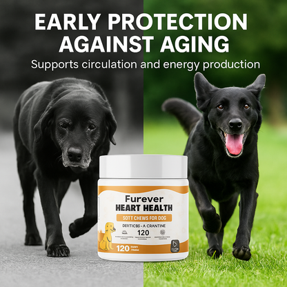 Furever Heart HealthSoft chews-Protect Your Dog’s Heart, Extend Their Joyful Years